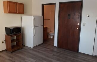 Studio, 1 bath, 350 sqft, $505, Unit 3315-17-B