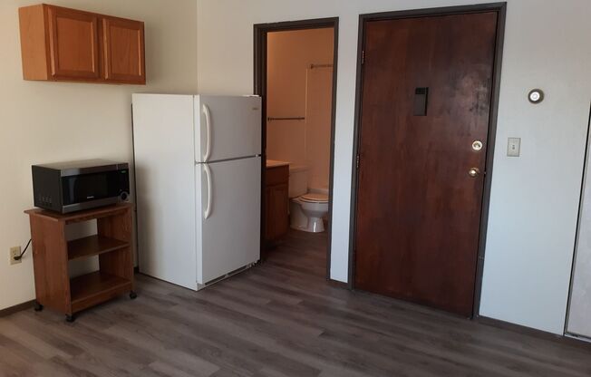 Studio, 1 bath, 350 sqft, $505, Unit 3315-17-B