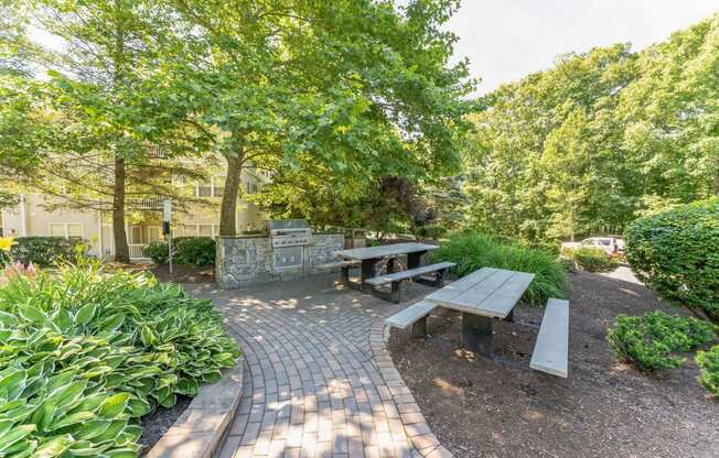 a picnic table and benches in a park with trees