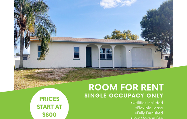 1743 W CHAPEL DR