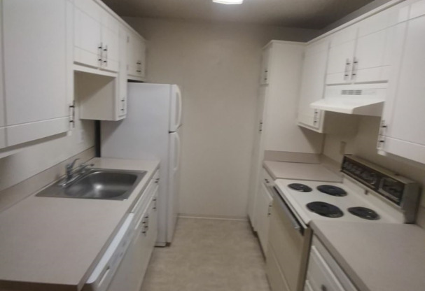 2 beds, 1 bath, $1,369