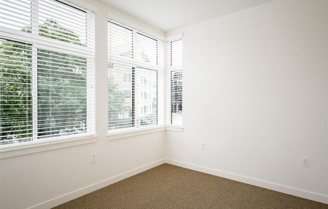 an empty room with three windows and a carpet