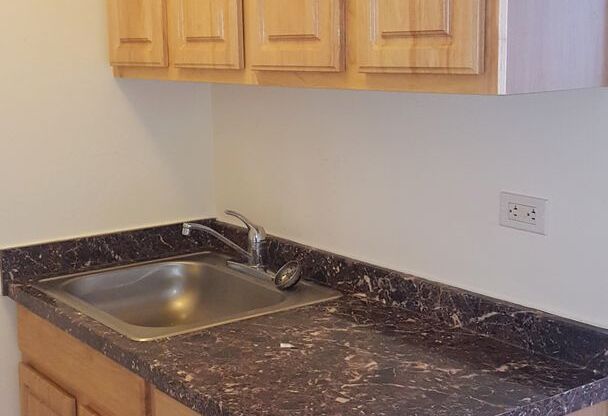 Studio, 1 bath, 375 sqft, $1,250, Unit 4031-412