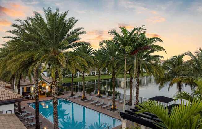 A beautiful pool surrounded by palm trees at sunset.