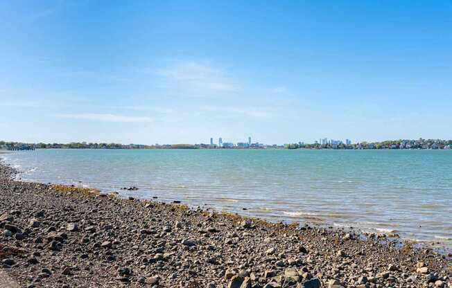 A rocky beach with a city skyline in the distance under a clear blue sky.