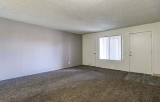 A room with carpeted floor and two white doors.