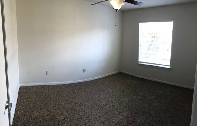 1 bed, 1 bath, 585 sqft, $799