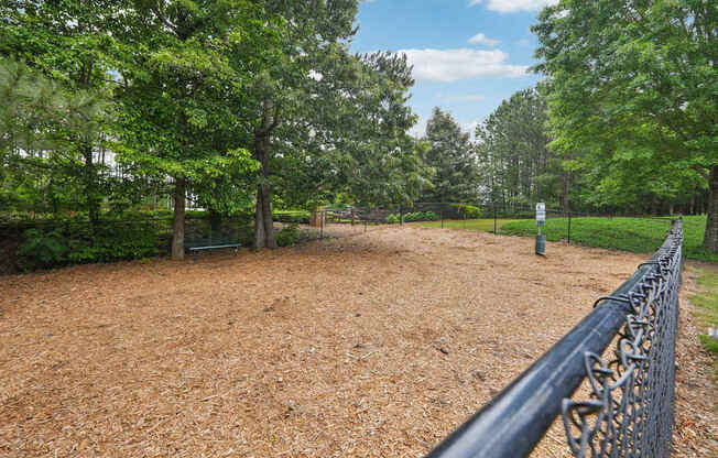Pet Friendly | Dog Park