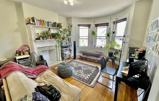 71 Harvard Ave, Allston MA 2