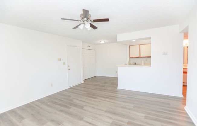 1 bed, 1 bath, $1,295