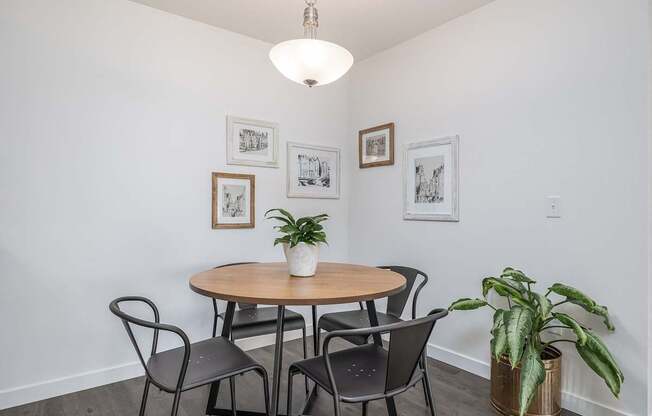 a dining room with a table and chairs and a potted plant