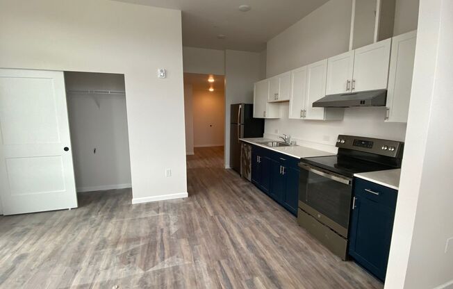 Studio, 1 bath, 463 sqft, $1,350, Unit 417