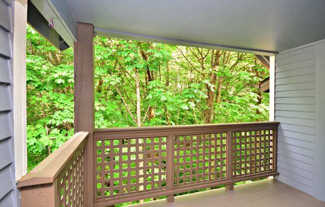 a view of the woods from the porch of a house