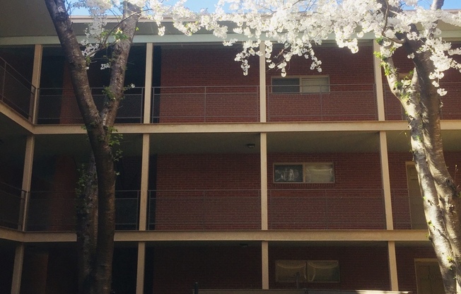 1 bed, 1 bath, $1,175, Unit APARTMENT 304B