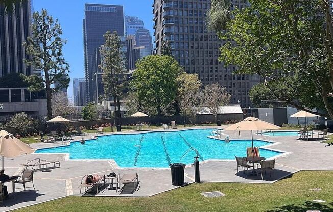 Studio, 1 bath, 481 sqft, $2,200, Unit 1409