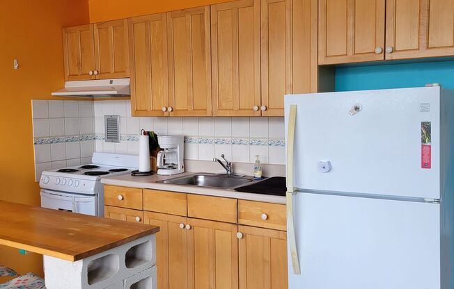 Holiday Manor Studio (Furnished) Electric, Water/Sewer Included
