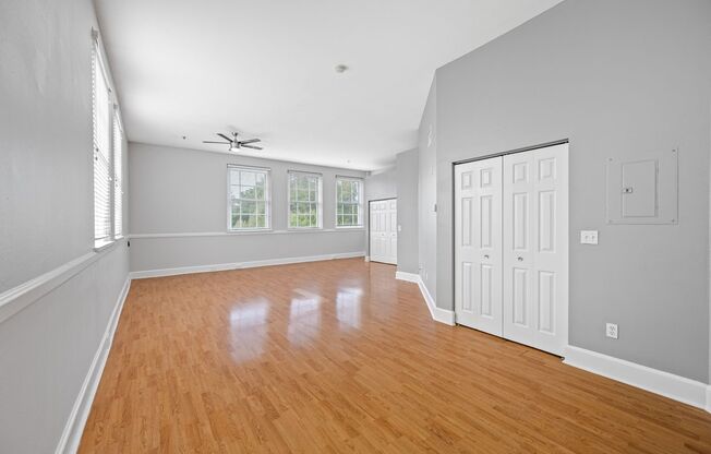 Studio, 1 bath, 1,000 sqft, $1,900, Unit 308