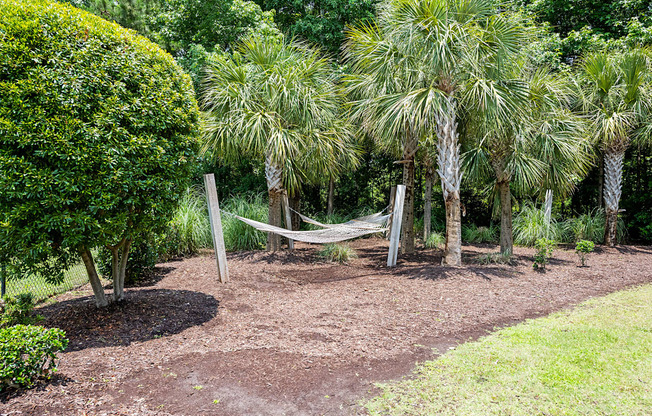 Vinings at Carolina Bays Exterior Hammock