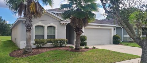 10714 CABBAGE TREE LOOP