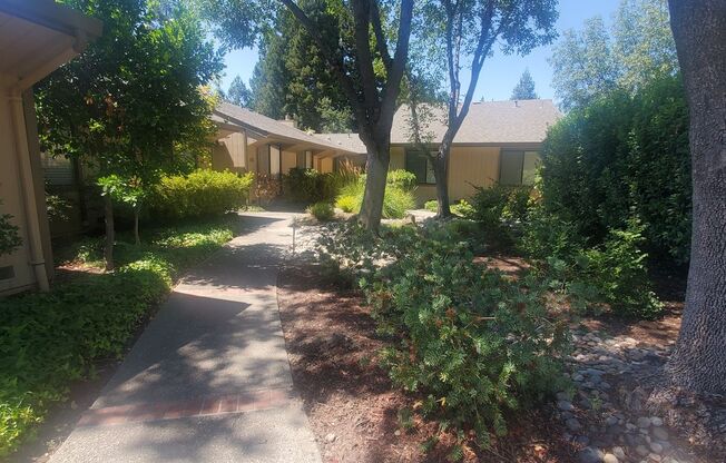 Incredible, Bright 3/2 Townhome in gated Alamo Square with wooded views