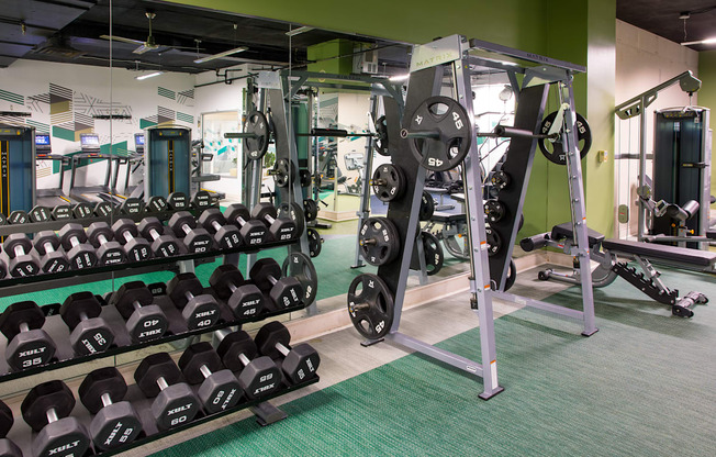 Free Weights at Cascade at Landmark, Virginia, 22304