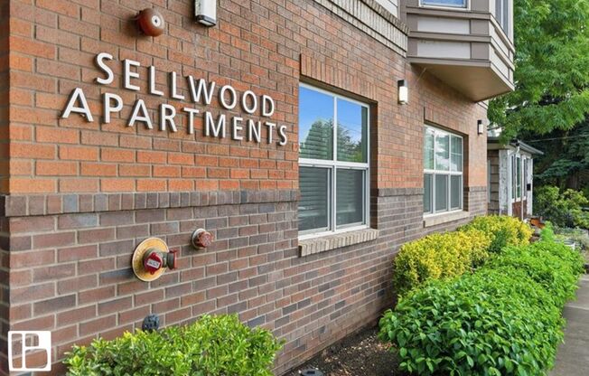 Studio, 1 bath, 515 sqft, $1,175, Unit 303