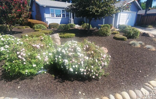 Coming Soon to Show-Beautifully landscaped 3/2 Single Story near BART