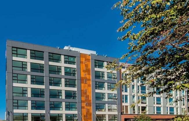 Studio, 1 bath, 381 sqft, $1,280, Unit 513