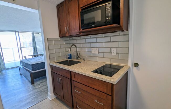Studio, 1 bath, $1,900