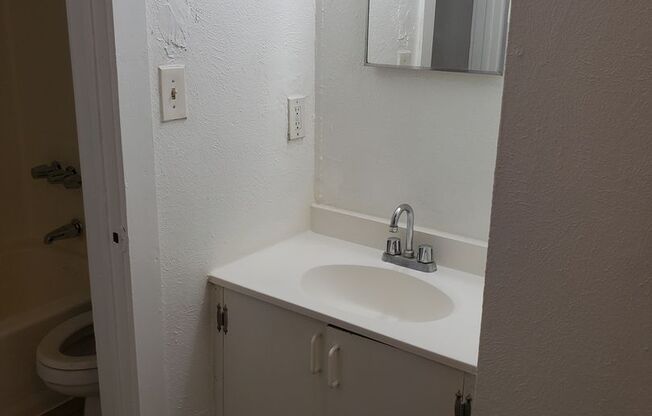 2916 Ruidosa