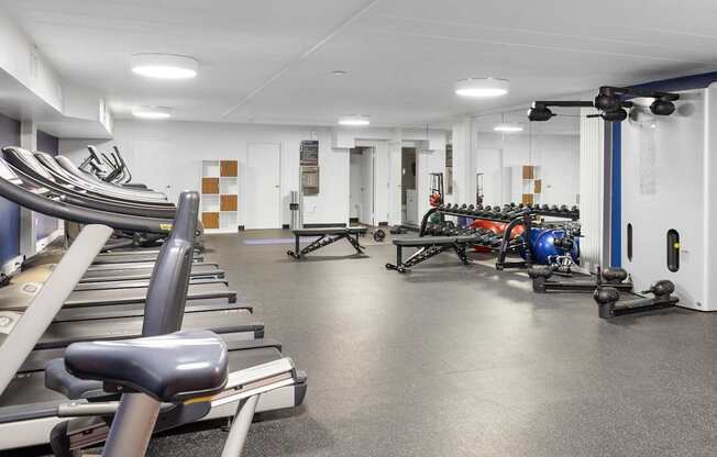 A gym with treadmills, weights, and exercise equipment.