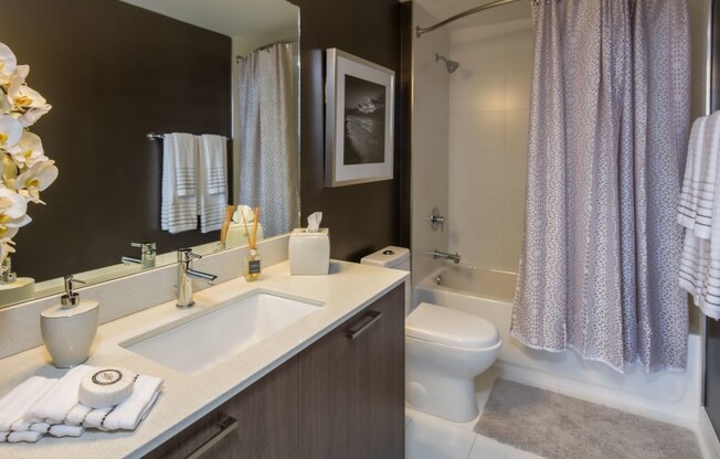 Bathroom in an apartment for rent in Miami Florida.