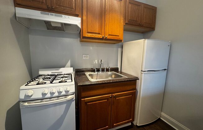 Studio, 1 bath, 450 sqft, $1,375, Unit 206