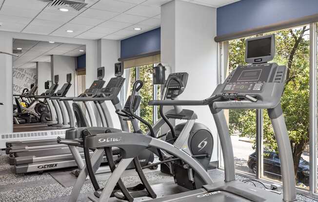 a row of treadmills and exercise machines in a fitness room