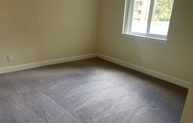 2 beds, 2 baths, 1,000 sqft, $2,175, Unit 14213 #202