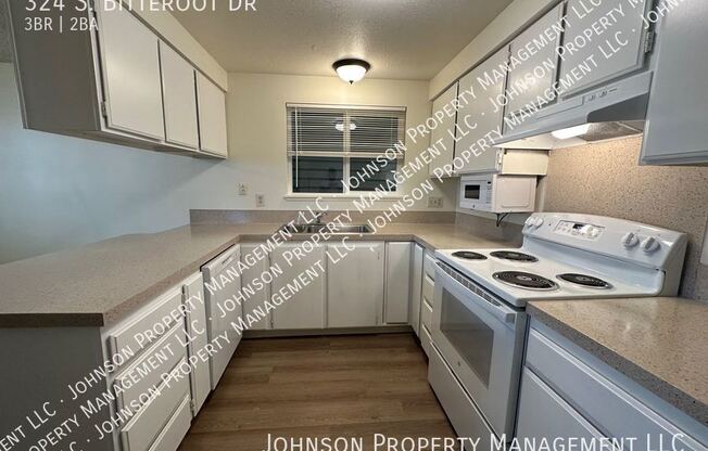 324 S BITTEROOT DR