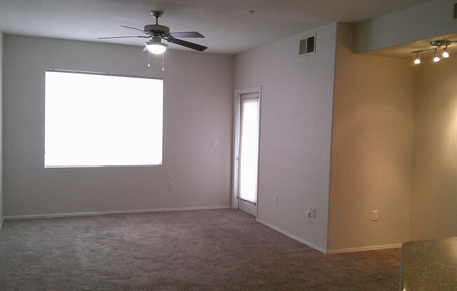 1 bed, 1 bath, $1,350, Unit # 1038