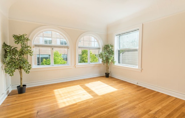 The Palladian | Sun Filled Arched Windows in Living Room