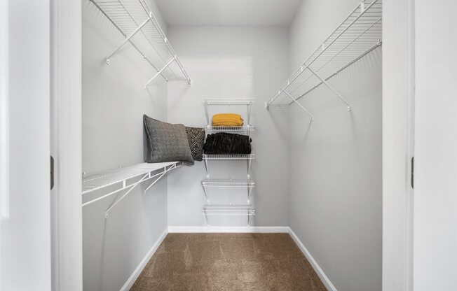 A walk-in closet with white shelves and a brown carpet.