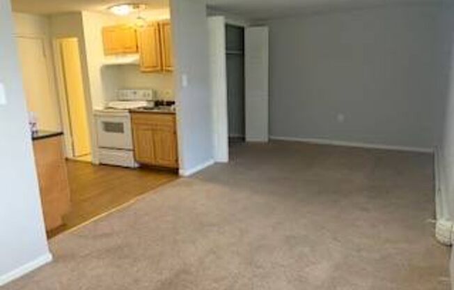 Studio, 1 bath, 450 sqft, $1,135, Unit 230
