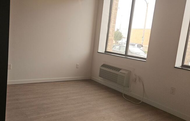 Studio, 1 bath, 276 sqft, $1,050, Unit 103