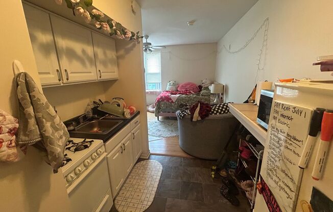 Studio, 1 bath, $750, Unit 202