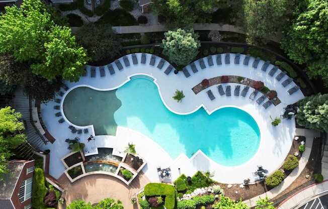A swimming pool surrounded by trees and bushes.