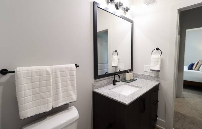 a bathroom with a sink and a mirror and a toilet