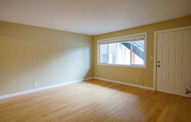 Fantastic 2 Bedroom in Charming St Johns Ready Early August!