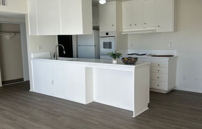 1 bed, 1 bath, $2,000, Unit 218