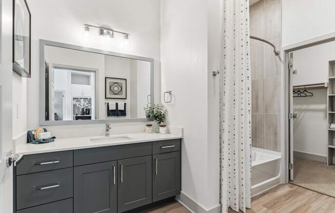 a bathroom with a sink and a shower and a mirror