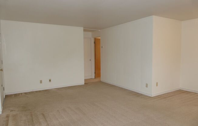 1 bed, 1 bath, $1,675