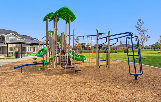 a playground with slides and monkey bars in a park