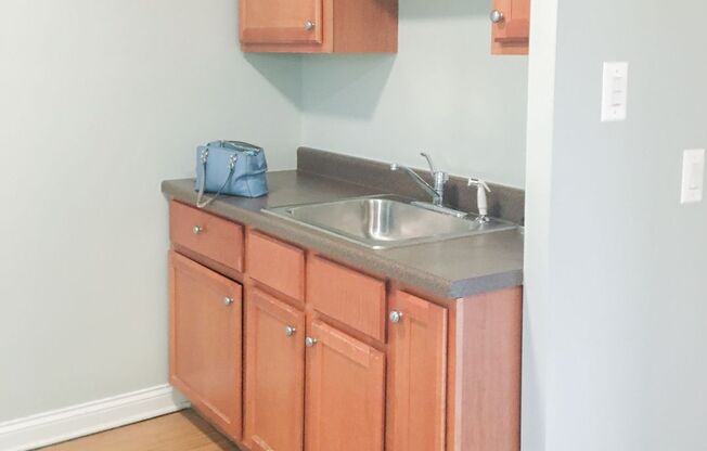 Studio, 1 bath, 355 sqft, $1,550, Unit 4606-1A